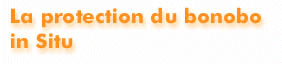 Protte~2.gif (10395 octets)