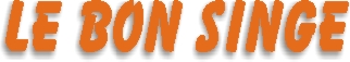 txtbonsinge.jpg (21039 octets)